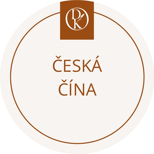 Česká čína